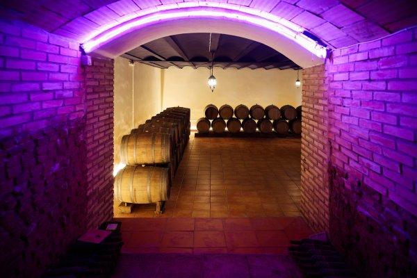 Bodegas Viña de Eufemia