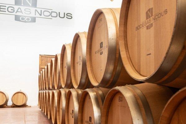 Bodegas Nodus