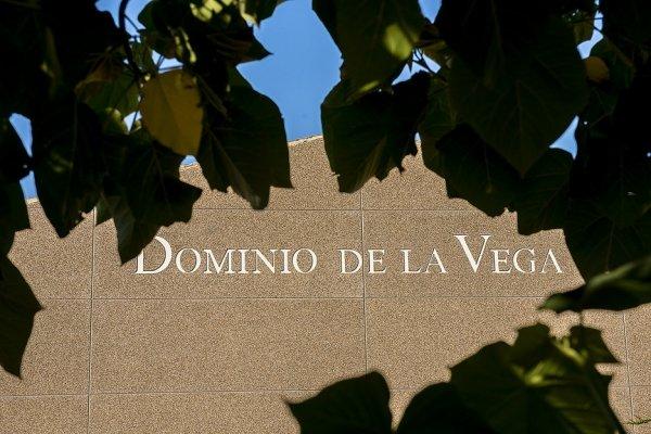 Dominio de la Vega