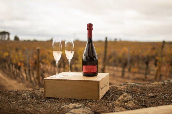 Bodega Hispano+Suizas
