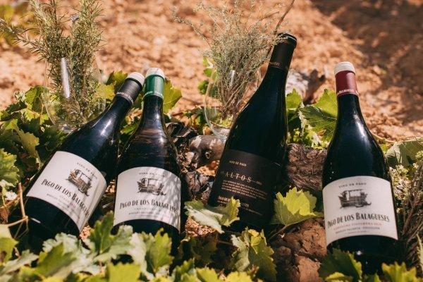 Viñedos y Bodegas Vegalfaro 
